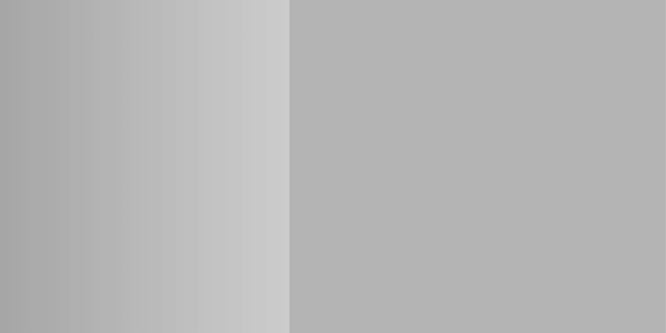 Black and White Clean Fashion Landscape Banner